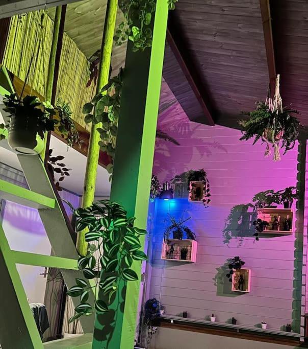 Jungle Style Lodge With Jacuzzi ,Sauna And Garden Near Amsterdam Vijfhuizen Dış mekan fotoğraf